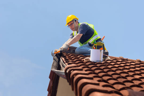 Best Rubber Roofing (EPDM, TPO)  in Stoughton, WI